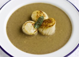 scallops